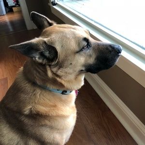 Meet your Posher, Jamie